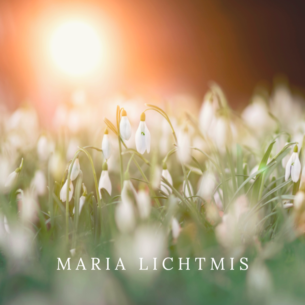 Maria lichtmis